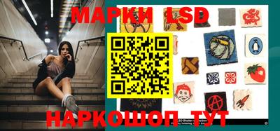 стафф Нальчик