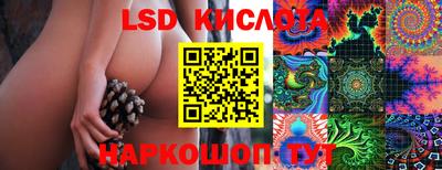 стафф Нальчик